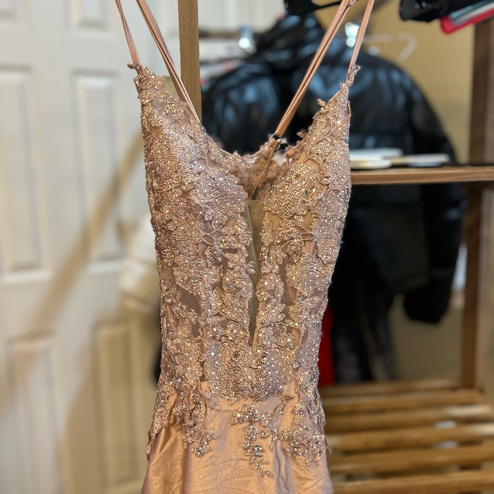 Le Femme size 2 gown mauve floral appliqué and tie up open back